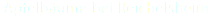 Apfelbäume bei Reichelsheim