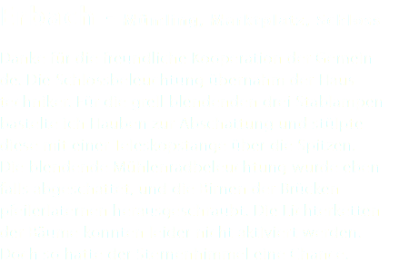 Erbach - Mümling, Marktplatz, Schloss Danke für die freundliche Kooperation der Gemein- de. Die Schlossbeleuchtung übernahm der Haus- techniker. Für die grell blendenden drei Stablampen bastelte ich Hauben zur Abschattung und stülpte diese mit einer Teleskopstange über die Spitzen. Die blendende Mühlenradbeleuchtung wurde eben- falls abgeschattet, und die Birnen der Brücken- pfeilerlaternen herausgeschraubt. Die Lichterketten der Bäume konnten leider nicht aktiviert werden. Doch so hatte der Sternenhimmel eine Chance.