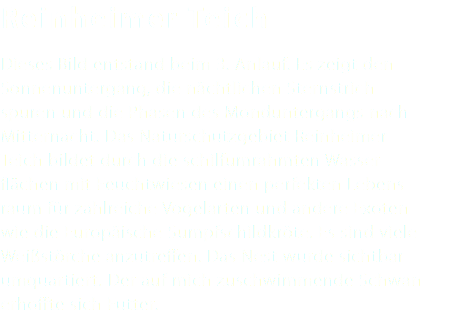 Reinheimer Teich Dieses Bild entstand beim 3. Anlauf. Es zeigt den Sonnenuntergang, die nächtlichen Sternstrich- spuren und die Phasen des Monduntergangs nach Mitternacht. Das Naturschutzgebiet Reinheimer Teich bildet durch die schilfumrahmten Wasser- flächen mit Feuchtwiesen einen perfekten Lebens- raum für zahlreiche Vogelarten und andere Exoten wie die Europäische Sumpfschildkröte. Es sind viele Weißstörche anzutreffen. Das Nest wurde sichtbar umquartiert. Der auf mich zuschwimmende Schwan erhoffte sich Futter. 