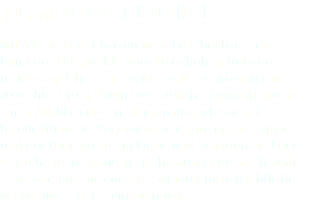 Turm Katzenbuckel Mit 626 m ist der Katzenbuckel die höchste Erhe- bung des Odenwalds. Vom 18 m hohen Turm ge- nießt man daher eine weite Sicht. Das noch nicht zu dichte, frische Grün des Frühjahrs gewährt noch einen Ausblick in den Sternenhimmel. Nach der Beleuchtung der Vegetation versagte meine Lampe und der Turm durfte im Licht- und Schattenspiel der tiefstehenden Sonne in Erscheinung treten. Ich hoffe es gelang mir, die einsame, windumtoste nächtliche Magie dieses Ortes einzufangen.