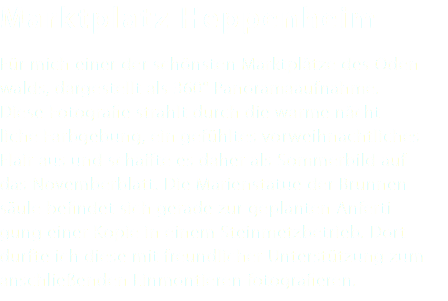 Marktplatz Heppenheim Für mich einer der schönsten Marktplätze des Oden- walds, dargestellt als 360° Panoramaaufnahme. Diese Fotografie strahlt durch die warme nächt- liche Farbgebung, ein gefühltes vorweihnachtliches Flair aus und schaffte es daher als Sommerbild auf das Novemberblatt. Die Marienstatue der Brunnen- säule befindet sich gerade zur geplanten Anferti- gung einer Kopie in einem Steinmetzbetrieb. Dort durfte ich diese mit freundlicher Unterstützung zum anschließenden Einmontieren fotografieren.
