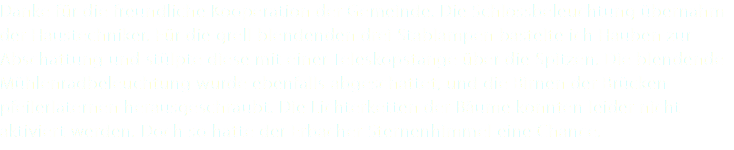 Danke für die freundliche Kooperation der Gemeinde. Die Schlossbeleuchtung übernahm der Haustechniker. Für die grell blendenden drei Stablampen bastelte ich Hauben zur Abschattung und stülpte diese mit einer Teleskopstange über die Spitzen. Die blendende Mühlenradbeleuchtung wurde ebenfalls abgeschattet, und die Birnen der Brücken- pfeilerlaternen herausgeschraubt. Die Lichterketten der Bäume konnten leider nicht aktiviert werden. Doch so hatte der Erbacher Sternenhimmel eine Chance.