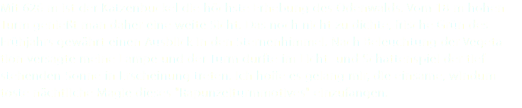 Mit 626 m ist der Katzenbuckel die höchste Erhebung des Odenwalds. Vom 18 m hohen Turm genießt man daher eine weite Sicht. Das noch nicht zu dichte, frische Grün des Frühjahrs gewährt einen Ausblick in den Sternenhimmel. Nach Beleuchtung der Vegeta-tion versagte meine Lampe und der Turm durfte im Licht- und Schattenspiel der tief- stehenden Sonne in Erscheinung treten. Ich hoffe es gelang mir, die einsame, windum-toste nächtliche Magie dieses "Rapunzelturmmotives" einzufangen.