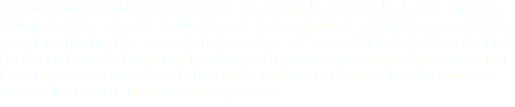 Für mich einer der schönsten Marktplätze des Odenwalds, dargestellt als 360° Panorama- aufnahme. Diese Fotografie strahlt durch die warme nächtliche Farbgebung, ein gefühltes vorweihnachtliches Flair aus und schaffte es daher als Sommerbild auf das Novemberblatt. Die Marienstatue der Brunnensäule befindet sich gerade zur geplanten Anfertigung einer Kopie in einem Steinmetzbetrieb. Dort durfte ich diese mit freundlicher Unterstützung zum anschließenden Einmontieren fotografieren.