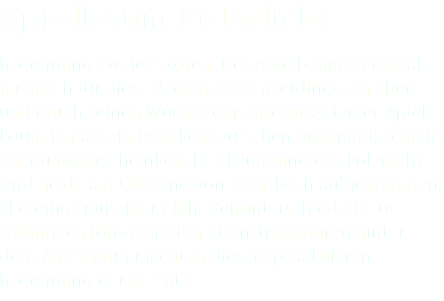 Apfelbaum Polarlicht Begegnung zweier Exoten. Der Apfelbaum ist charak- teristisch für diese Region. Dass allerdings ein alter und durch seinen Wuchs sehr ausdrucksstarker Apfel- baum jemals ein Polarlicht zu sehen bekommt, schien eher unwahrscheinlich. Der Baum und das Polarlicht sind beide am Ortsrand von Brensbach aufgenommen, allerdings mit einem Jahr Zeitunterschied. Die ur- sprünglich fotografierten Sternstrichspuren hinter dem Apfelbaum machten dieser spekakulären Begegnung gerne Platz. 