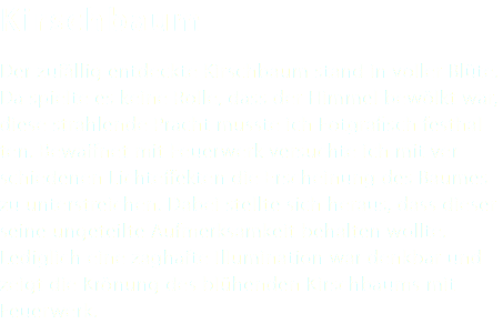 Kirschbaum Der zufällig entdeckte Kirschbaum stand in voller Blüte. Da spielte es keine Rolle, dass der Himmel bewölkt war, diese strahlende Pracht musste ich Fotgrafisch festhal- ten. Bewaffnet mit Feuerwerk versuchte ich mit ver- schiedenen Lichteffekten die Erscheinung des Baumes zu unterstreichen. Dabei stellte sich heraus, dass dieser seine ungeteilte Aufmerksamkeit behalten wollte. Lediglich eine zaghafte Illumination war denkbar und zeigt die Krönung des blühenden Kirschbaums mit Feuerwerk. 