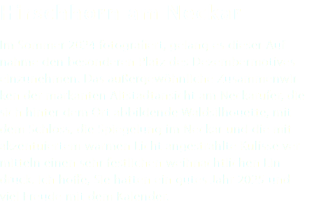 Hirschhorn am Neckar Im Sommer 2024 fotografiert, gelang es dieser Auf-nahme den besonderen Platz des Dezembermotives einzunehmen. Das außergewöhnliche Zusammenwir-ken der markanten Altstadtansicht am Neckarufer, die sich hinter dem Ort abbildende Waldsilhouette, mit dem Schloss, die Spiegelung im Neckar und die mit akzentuiertem warmen Licht angestrahlte Kulisse ver-mitteln einen sehr festlichen weihnachtlichen Ein-druck. Ich hoffe, Sie hatten ein gutes Jahr 2025 und viel Freude mit dem Kalender. 