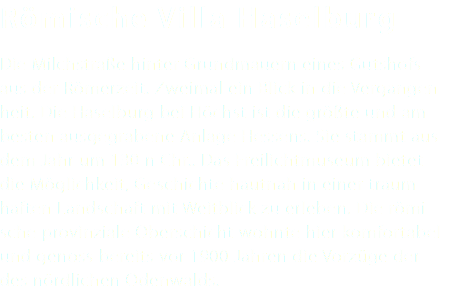 Römische Villa Haselburg Die Milchstraße hinter Grundmauern eines Gutshofs aus der Römerzeit. Zweimal ein Blick in die Vergangen-heit. Die Haselburg bei Höchst ist die größte und am besten ausgegrabene Anlage Hessens. Sie stammt aus dem Jahr um 130 n Chr.. Das Freilichtmuseum bietet die Möglichkeit, Geschichte hautnah in einer traum-haften Landschaft mit Weitblick zu erleben. Die römi-sche provinziale Oberschicht wohnte hier komfortabel und genoss bereits vor 1900 Jahren die Vorzüge der des nördlichen Odenwalds.