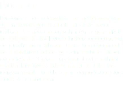 Eutersee Der Königsee des Odenwalds. Eingebettet zwischen steilen, bewaldeten Bergflanken liegt der kleine idyllische See bei Schöllenbach in einem urigen Teil des Odenwaldes. Nach einem heißen Sommertag und der einkehrenden Ruhe zur Dämmerung übernimmt der nachtaktive Chef des Sees, ein stattliches Bieber- männchen, das Regime. Er patrolliert mit einschüch-terndem lauten Wasserklatschen. Die Zeit der Perse-iden war vorrüber und bescherte dennoch zum Glück einige Sternschnuppen.